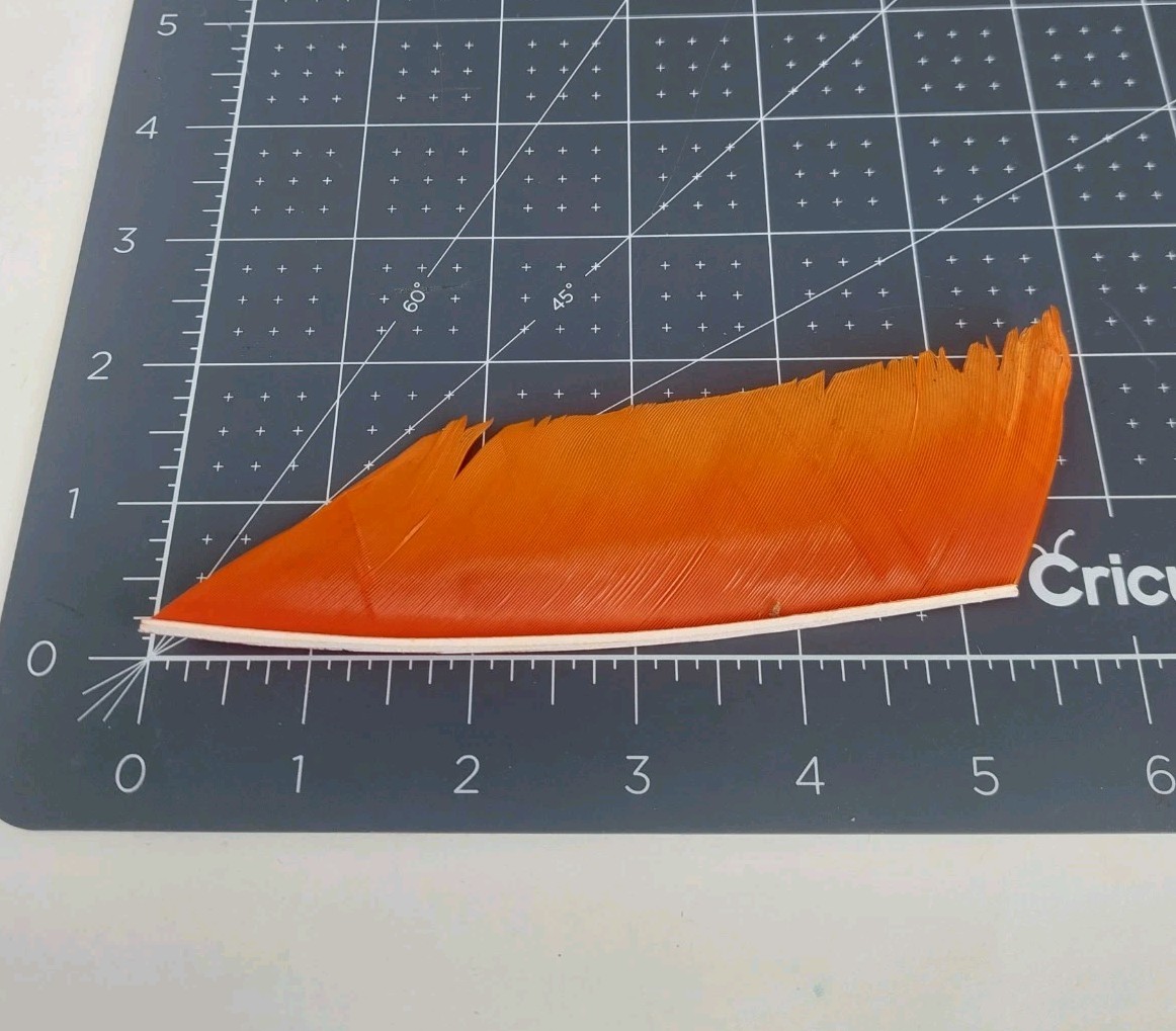 100 Pack Gateway Feathers 5" Right Wing Cut Section Fluorescent Orange 514RCSFO