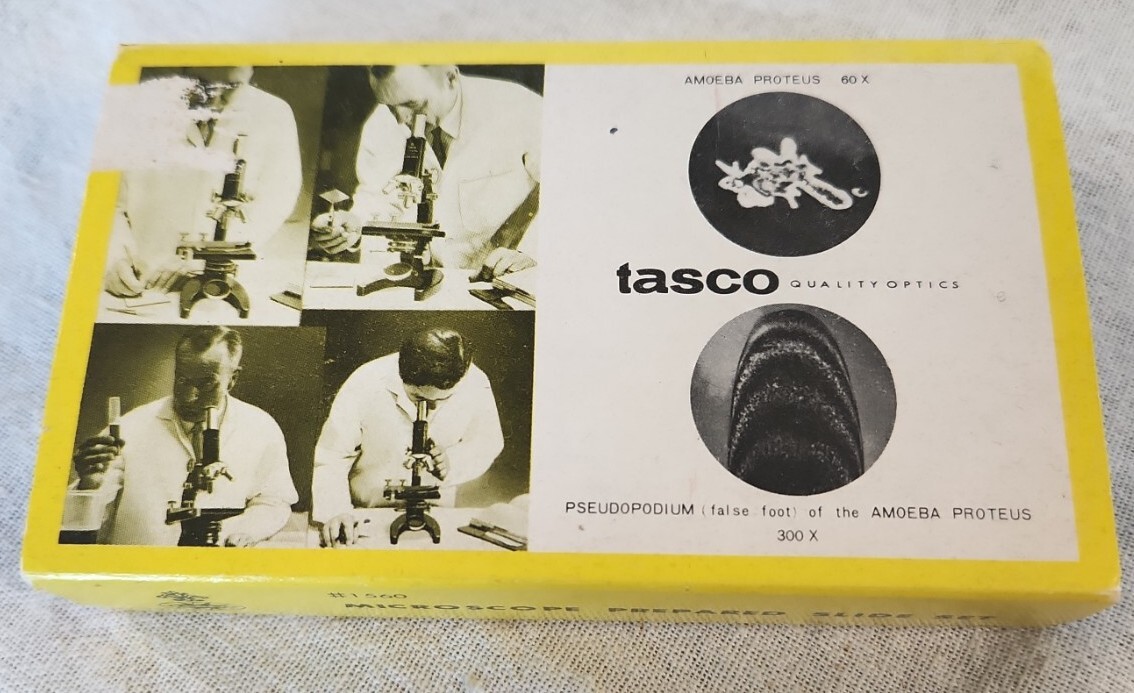 VINTAGE Tasco Microscope Prepared Slide Set - Blood - 7 Slides #1560 - Japan