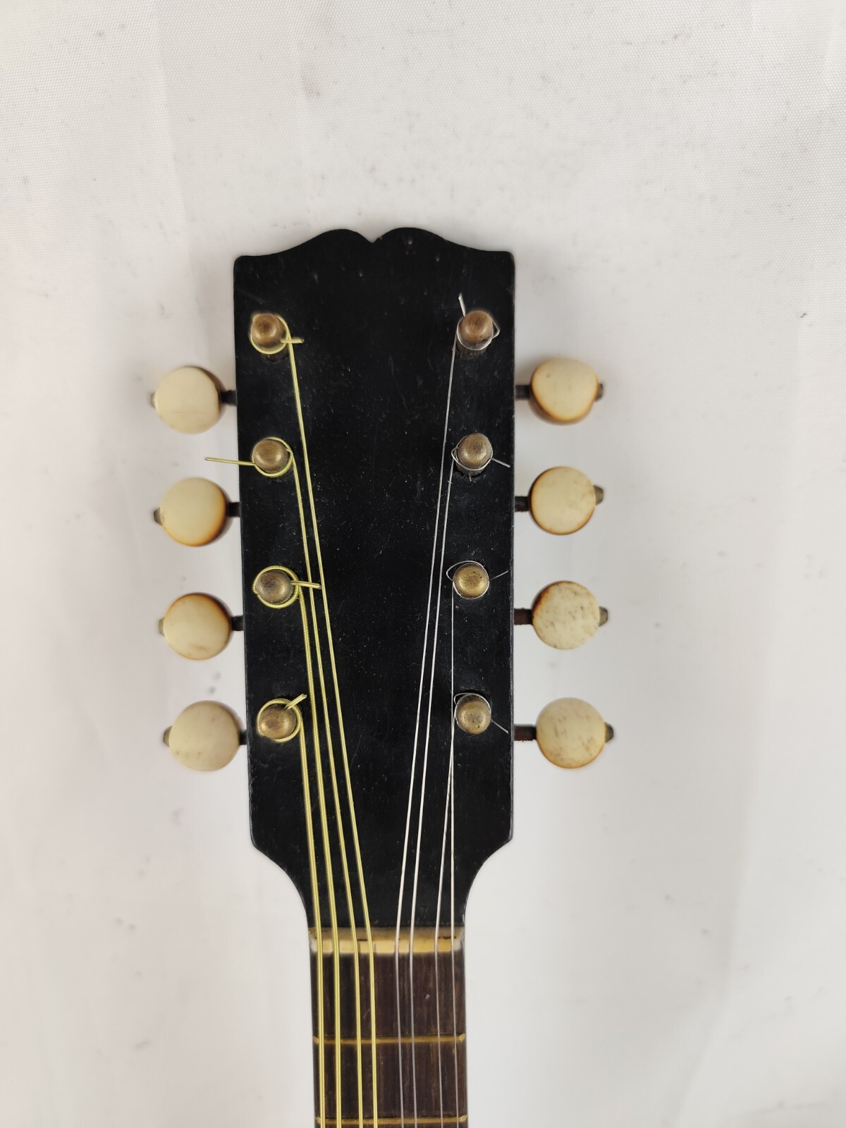 Mandolin 4/4 Pasquale Vinaccia 1882 Naples 曼陀林 만돌린マンドリン