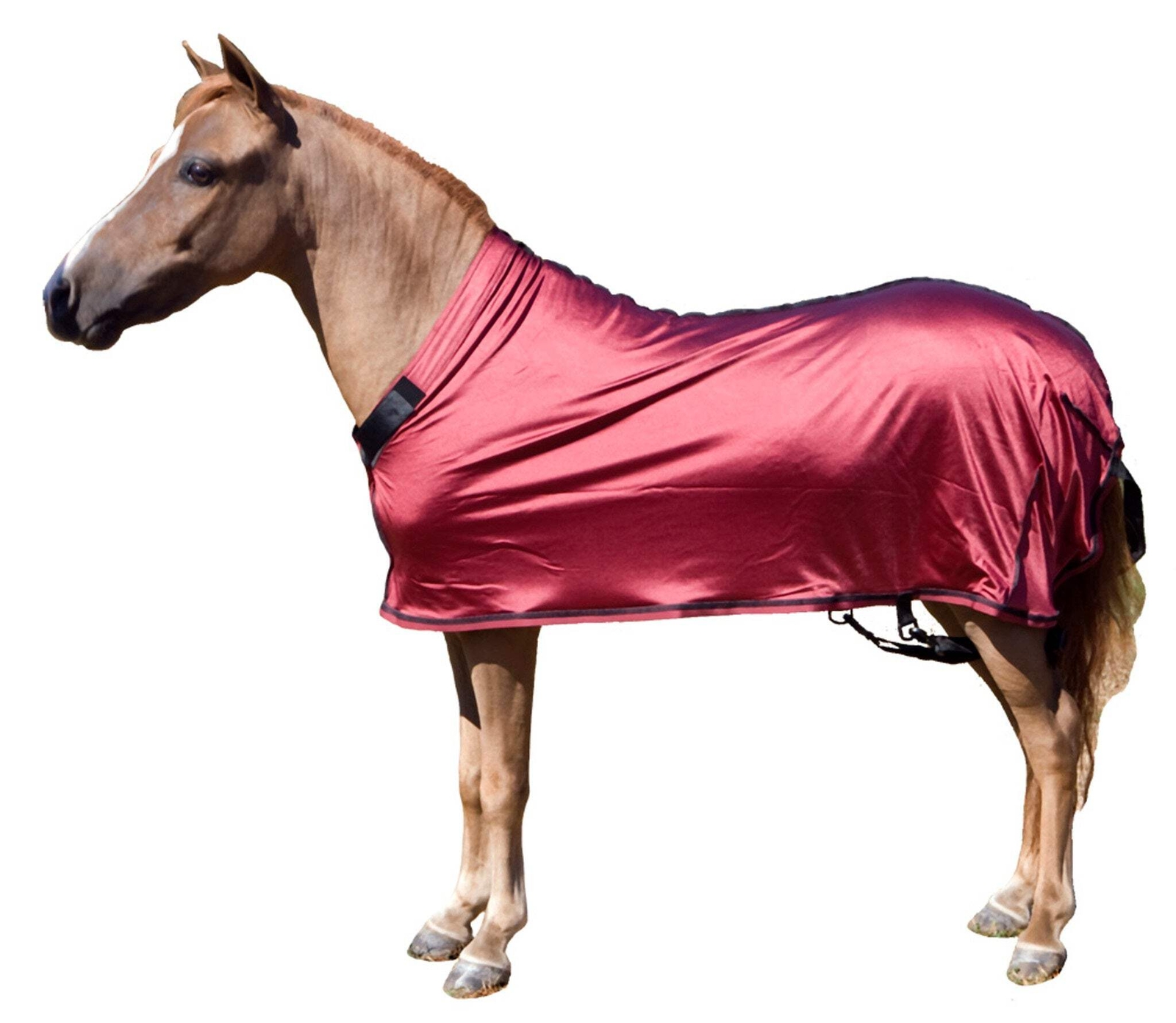 Sleazy Sleepwear XL MINI HORSE STRETCH SHEET 48-52 Inches 13 SOLID COLORS!