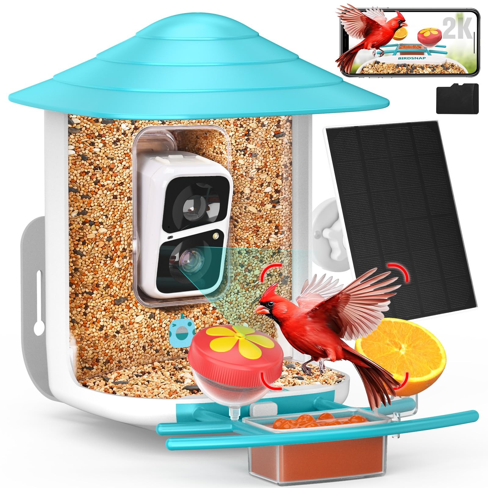 birdsnap® TUC Bird Feeder with Camera 2K HD Live 32GB Card Large, Blue