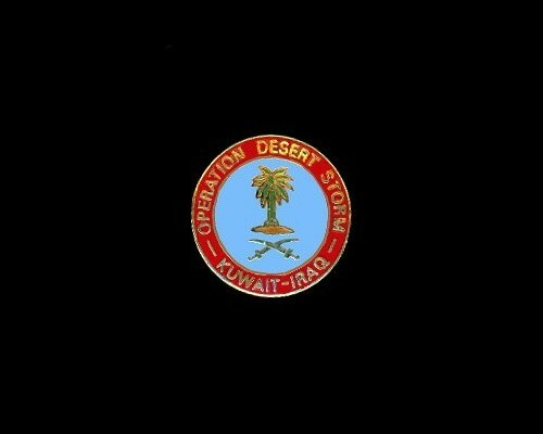 (2 pin lot) TWO Operation Desert Storm logo pins  1"