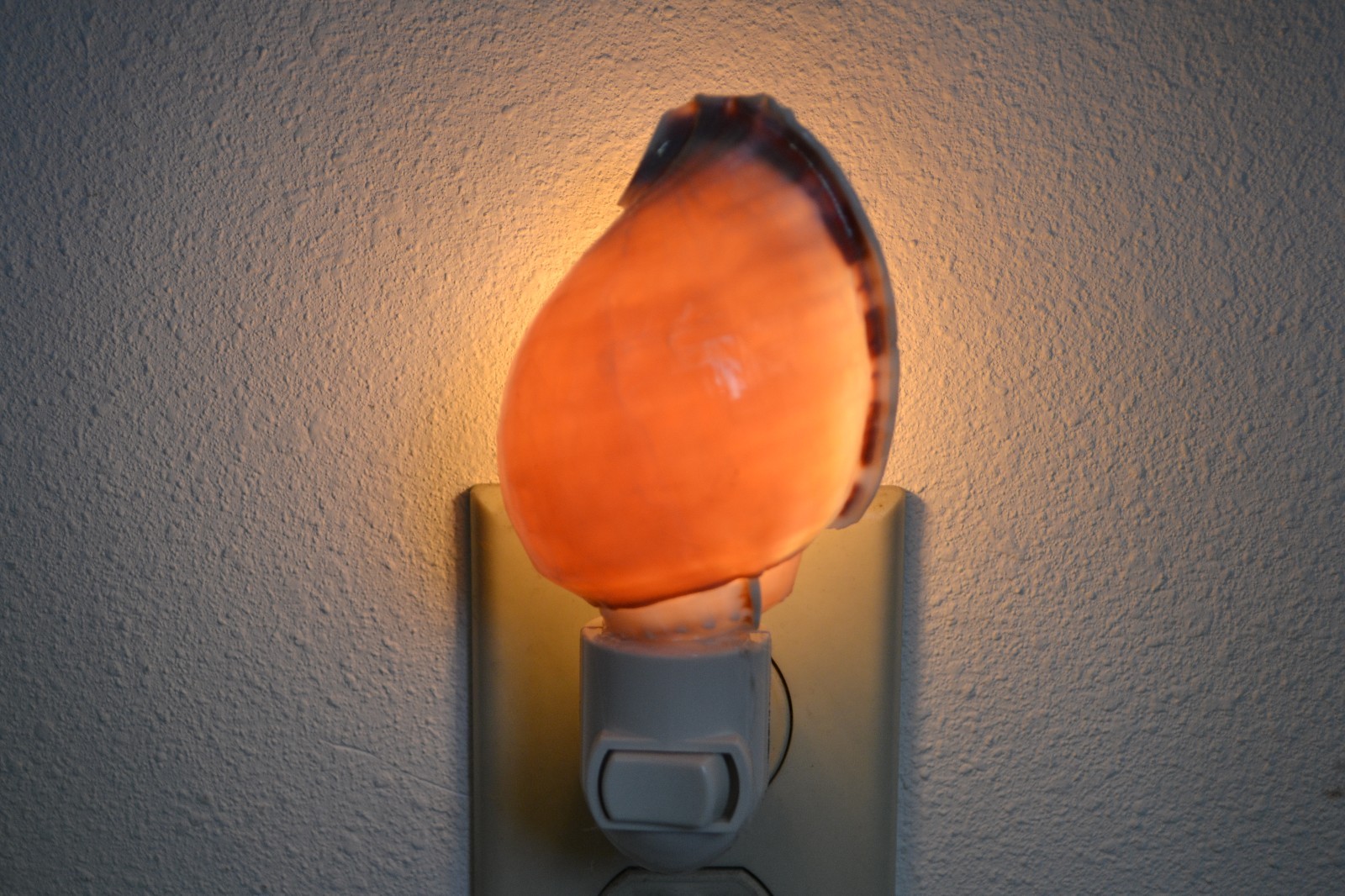 BONNET SEA SHELL NIGHTLIGHT BATHROOM KITCHEN #7909
