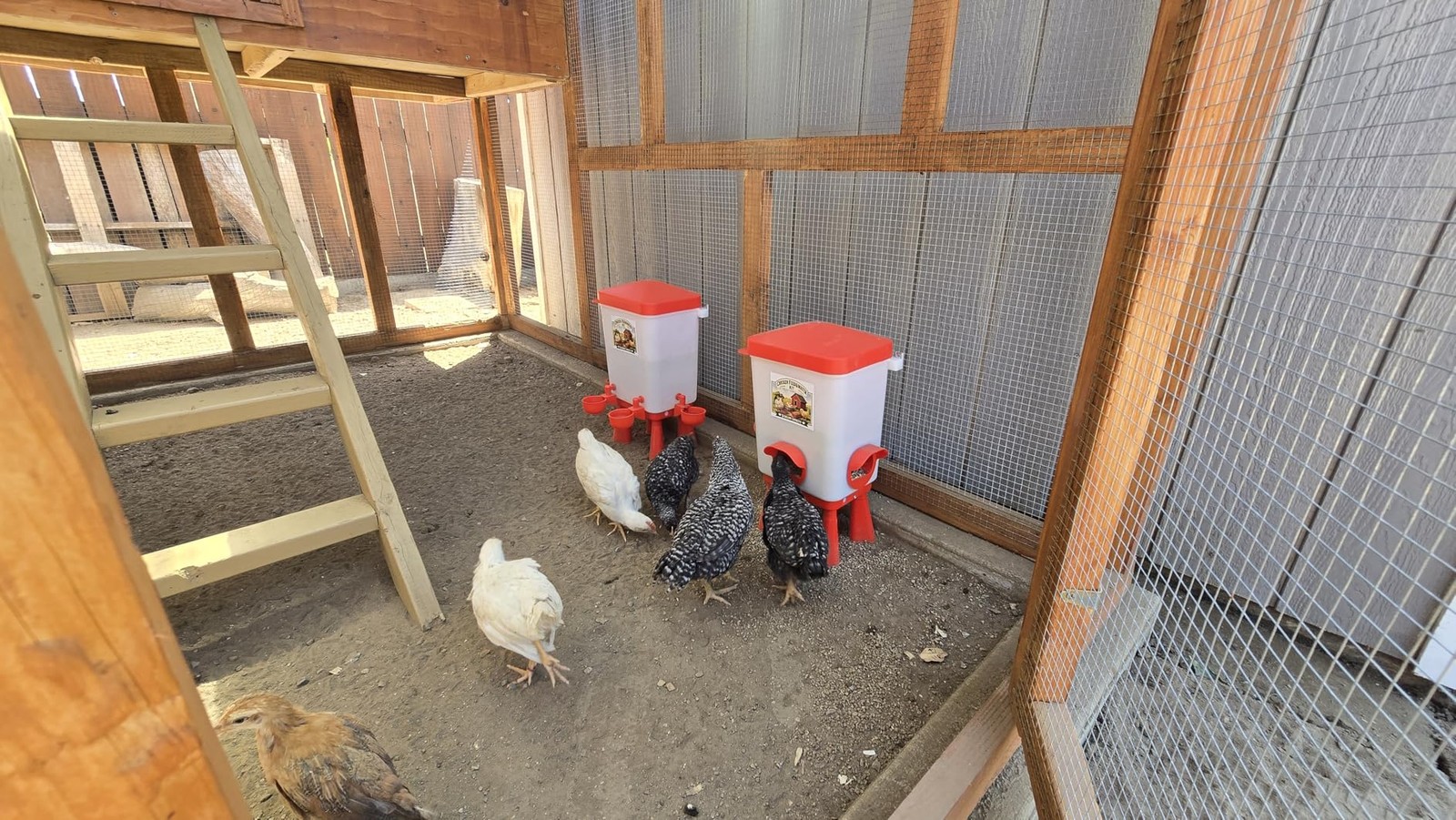 Chicken Feeder and Waterer Set, 3 Gallon/16 LB Automatic Poultry Feeding System