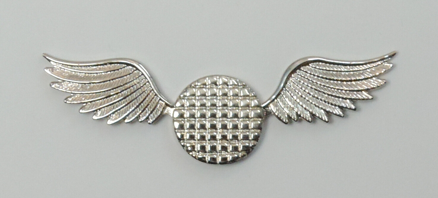 U.S. Navy Aviation Electronics Mate, (AE) Ball Cap Pin