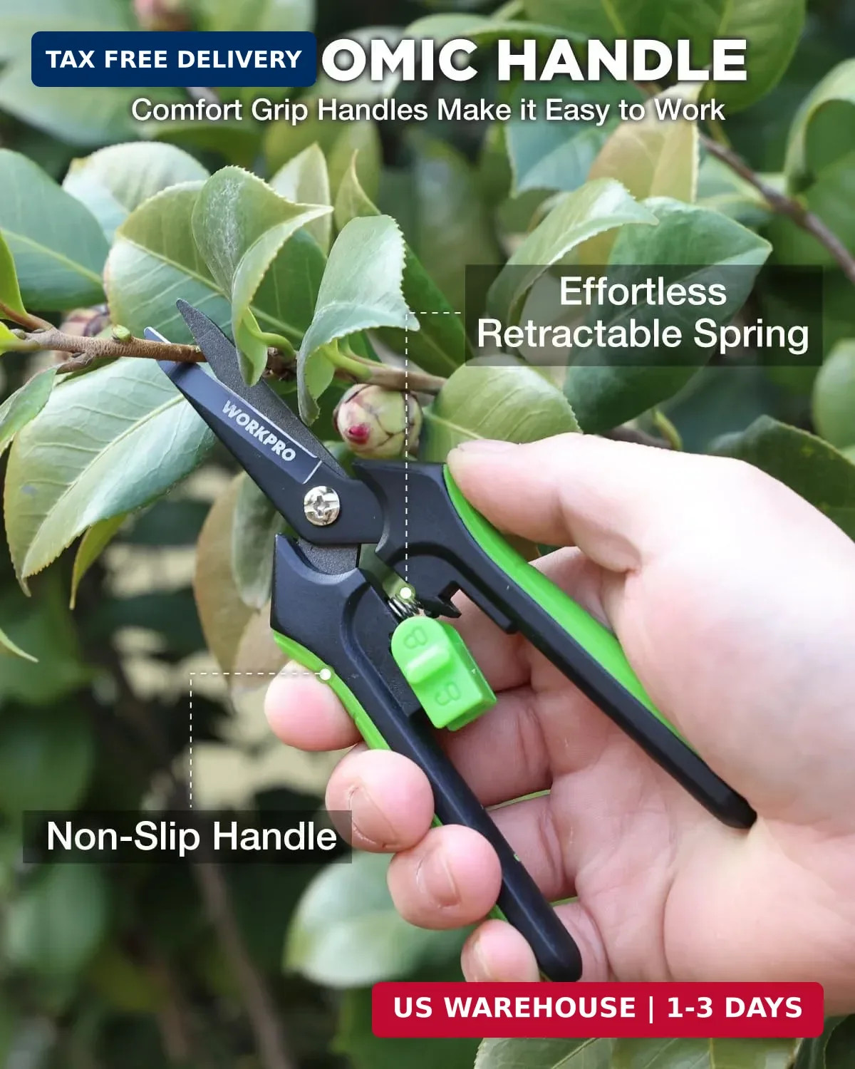 WORKPRO 6-Inch Pruning Shears, Sharp Gardening Scissors for Precise Cuts, High-C