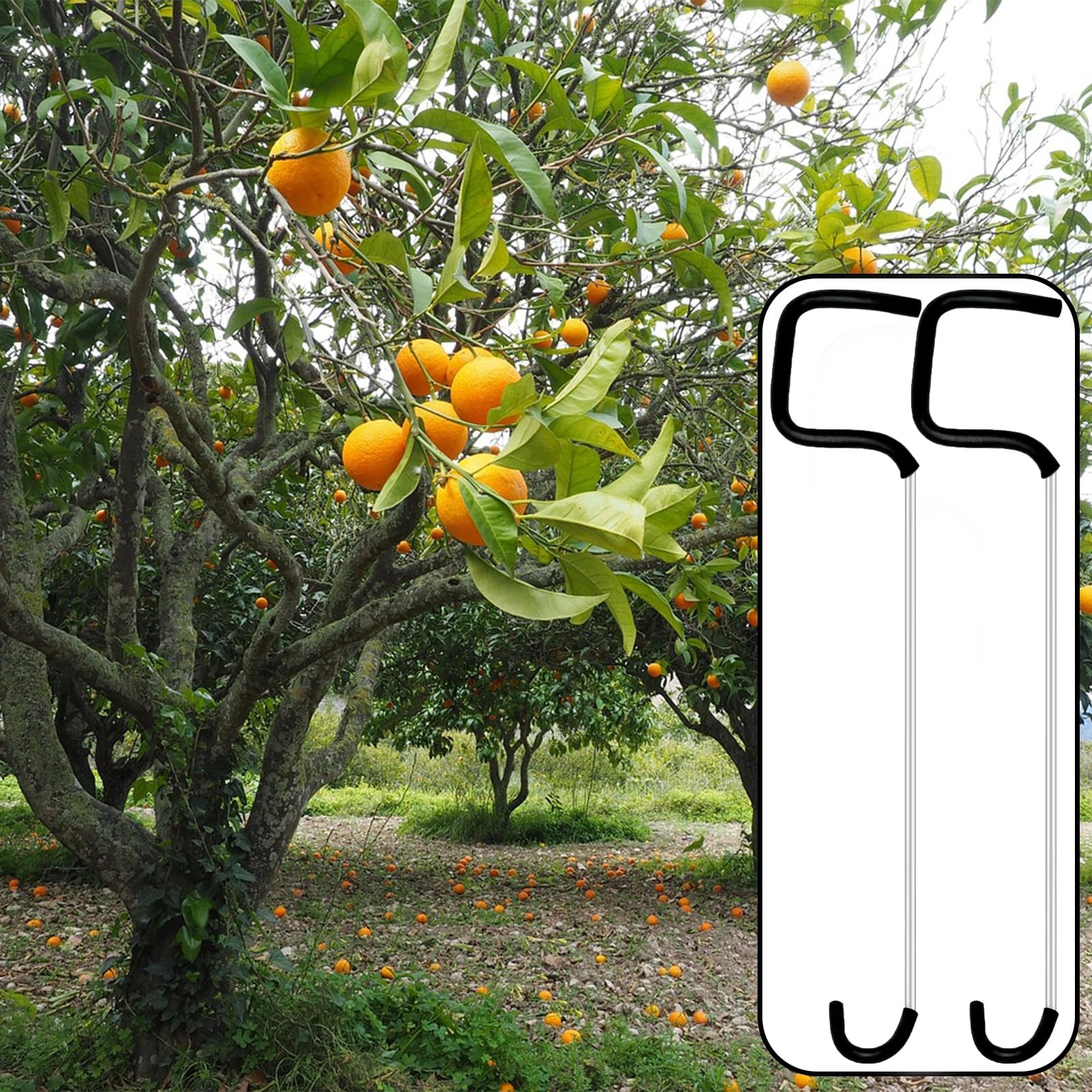 30 PCS Fruit Tree Limb Spreader, 10.2 Inch Branch Puller with Hose Protection...
