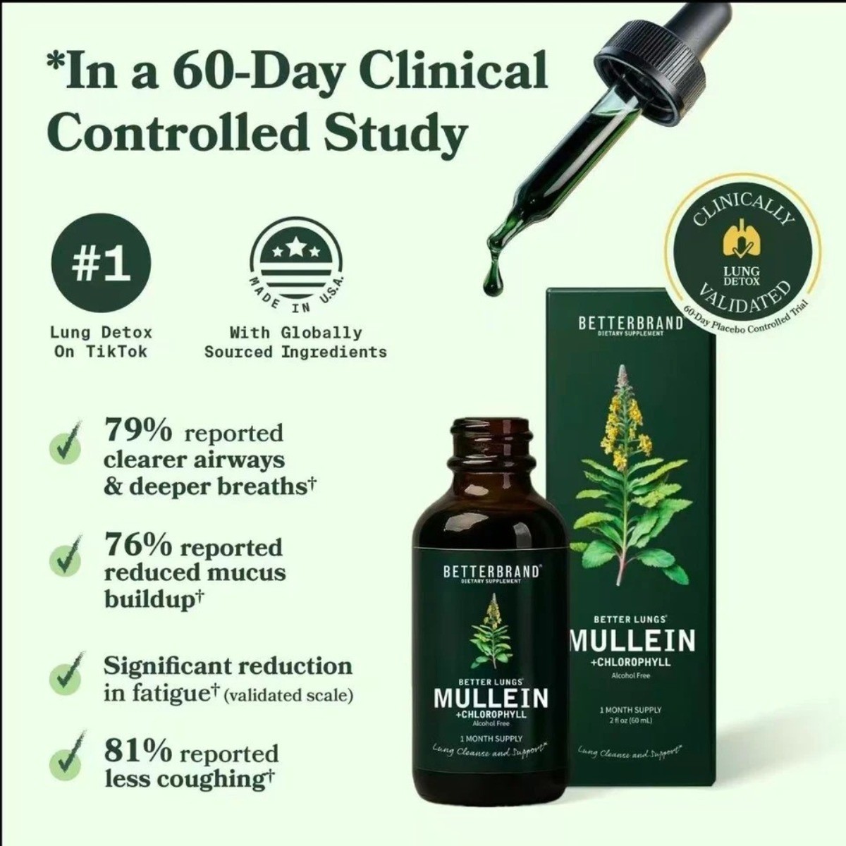 Mullein & Chlorophyll Liquid Drops – Respiratory Support & Lung Cleanse