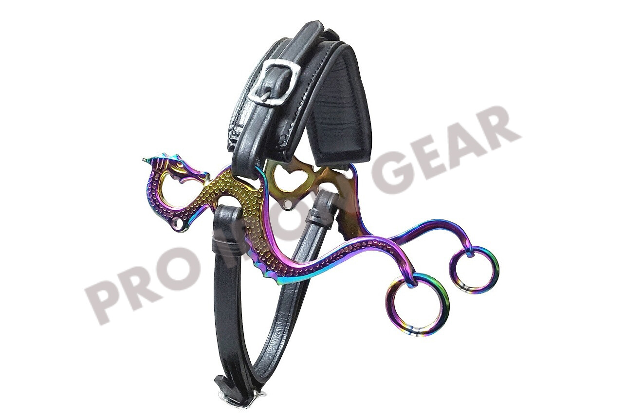 RAINBOW DRAGON Hackamore Bitless Horse Bit English Western  Leather (BLACK)