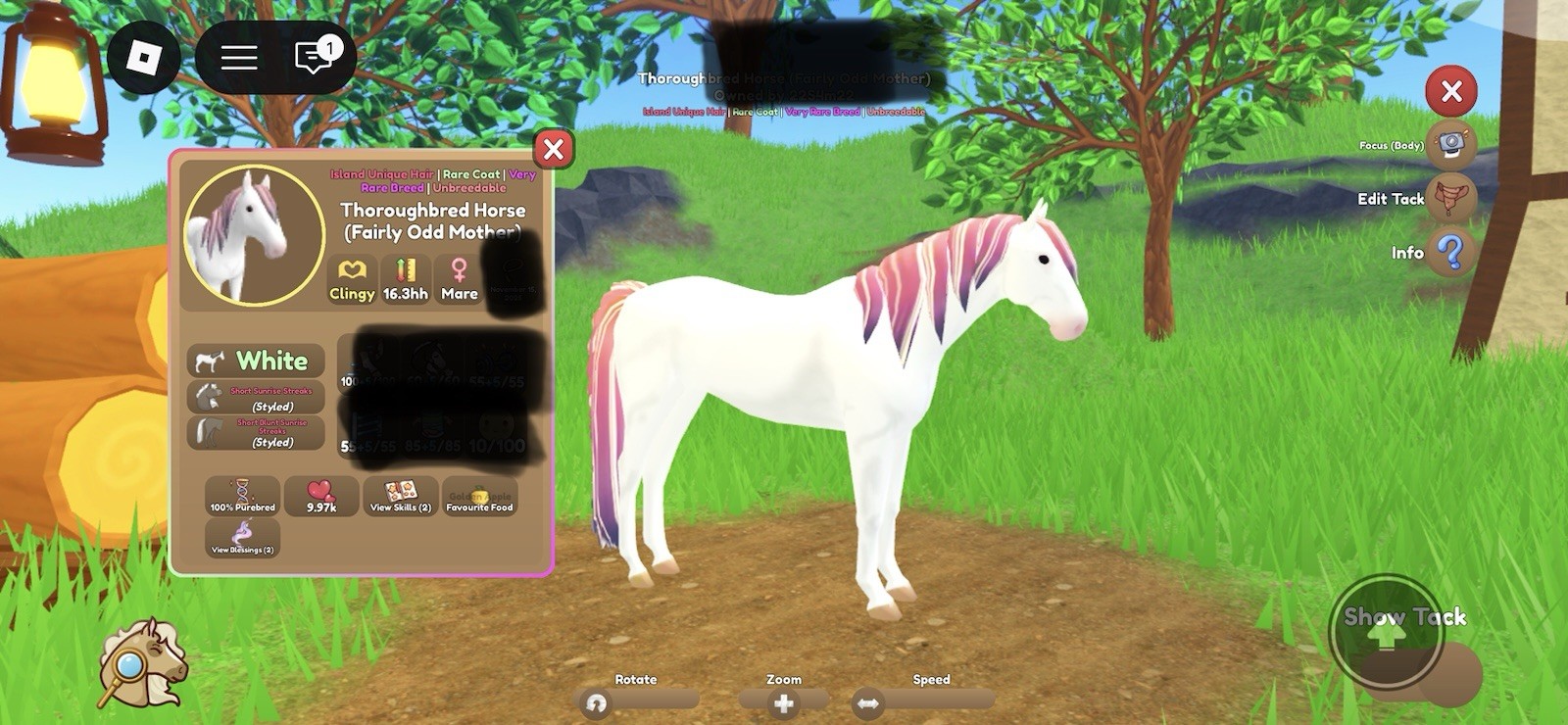 Wild Horse Islands Thoroughbred Rare Coat Island Unique Hair Roblox IUH