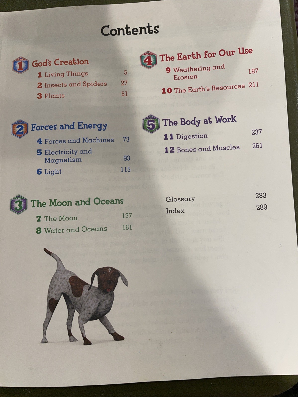 BJU Science Student Book Reading Text Homeschool Fourth Edition