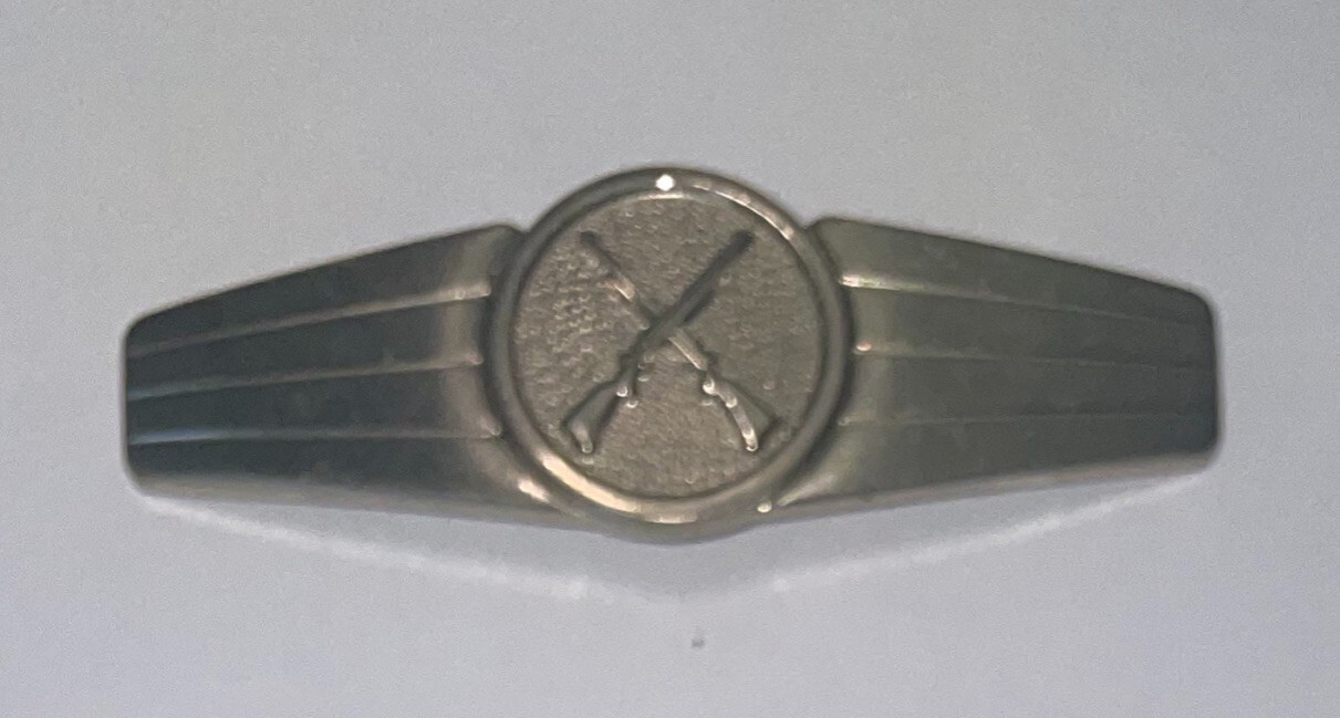 Germany Security Personnel Pin Badge Silver Version Used PN1