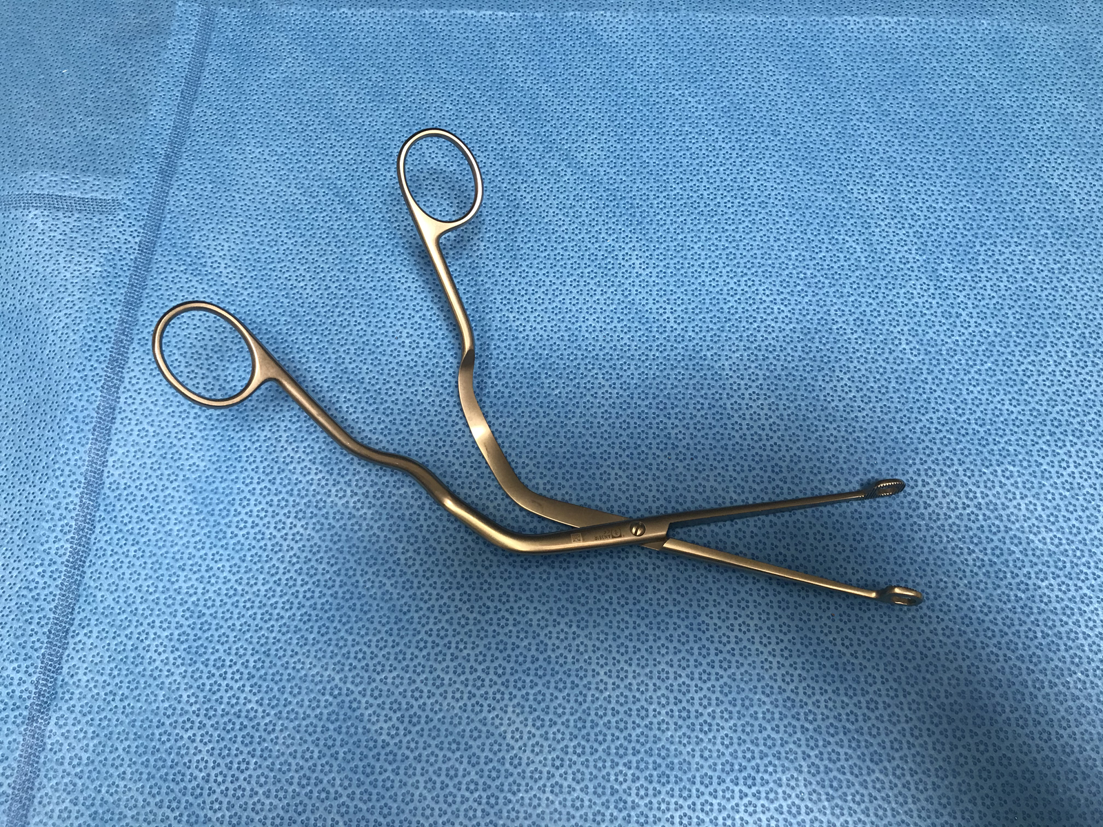 Aesculap AN381R Magill Forceps