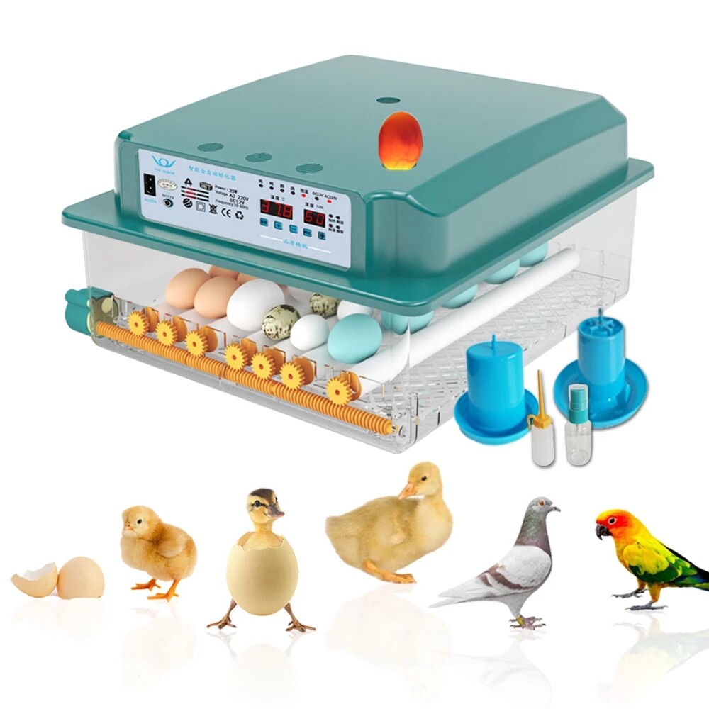 16/36 Eggs Incubator Digital Automatic Turner Hatcher Chicken Egg Temp Control