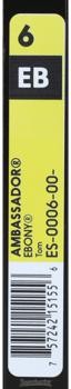 Remo Ambassador Ebony Drumhead - 6 inch