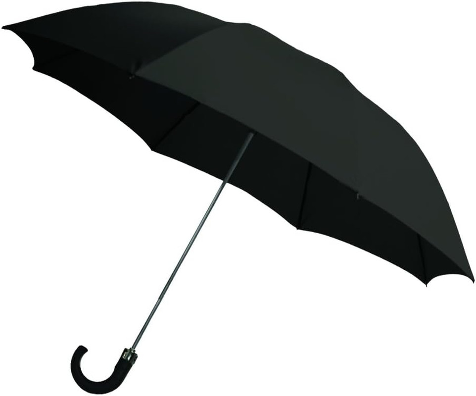 2-Fold Auto Open Umbrella - With Storage Sleeve and J Hook Handle - Made in USA