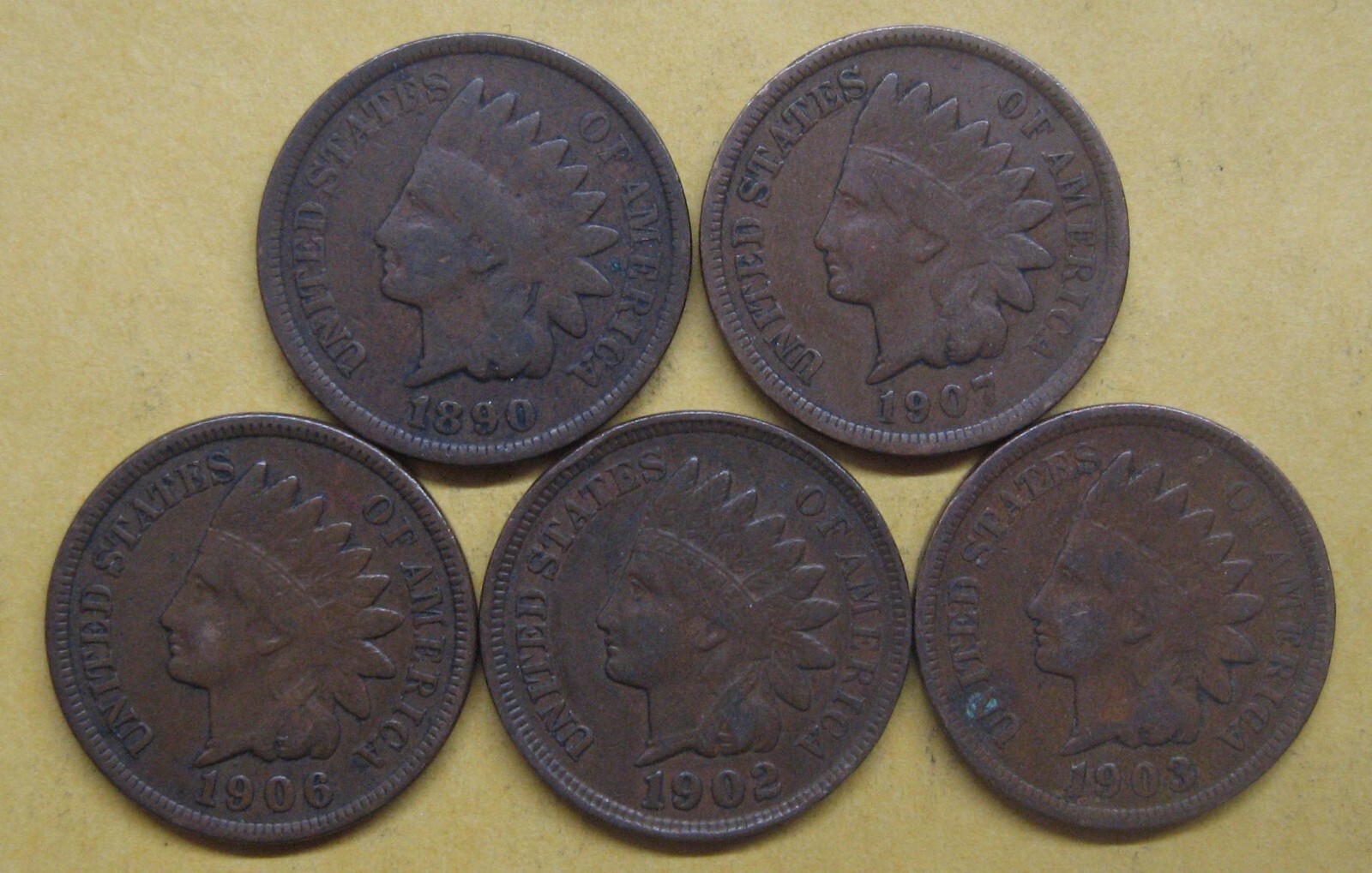 Five Indian Pennies with Five Different Dates--ALL in Good+ Take a Look