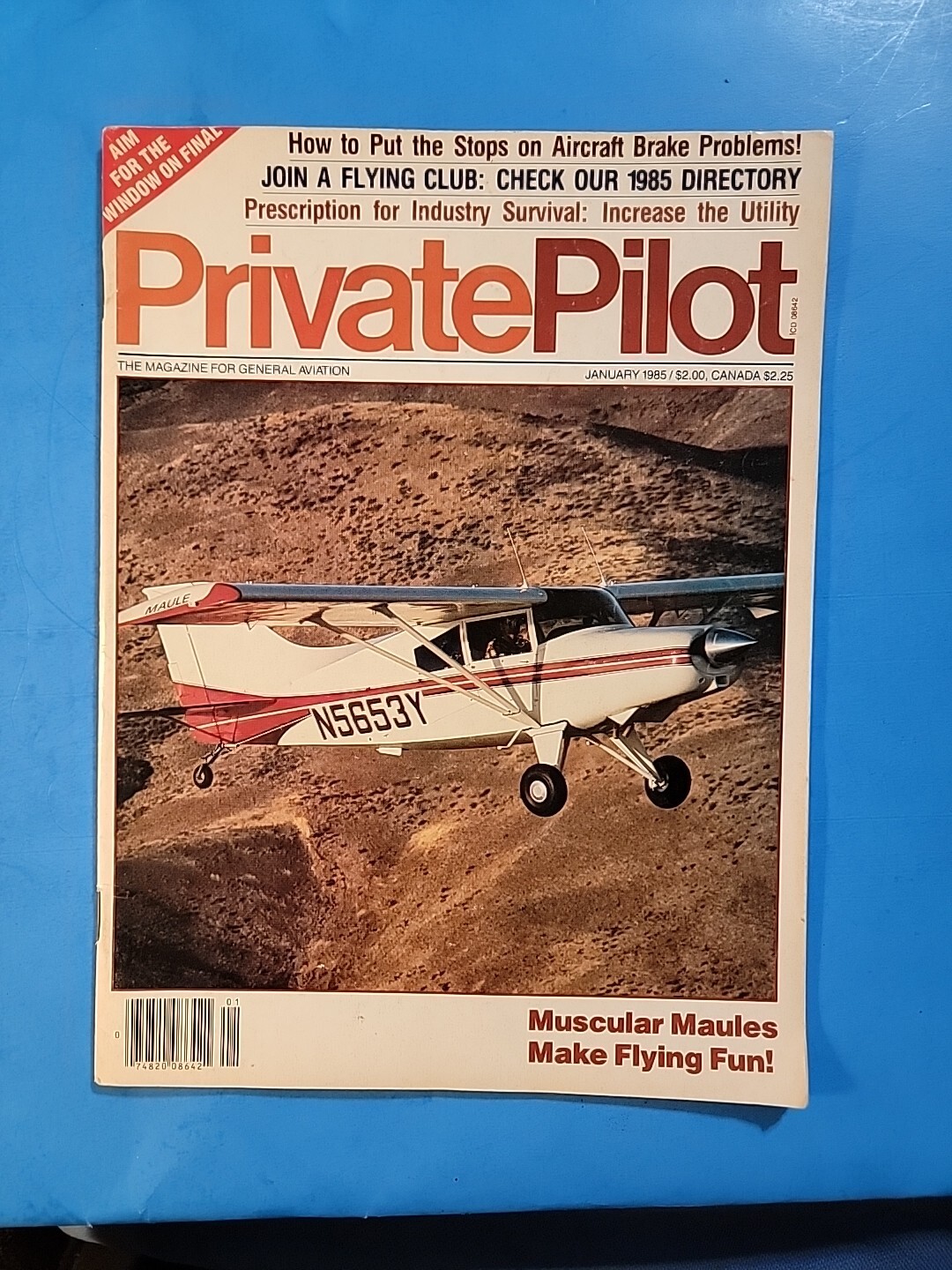 Private Pilot (Jan 1985)