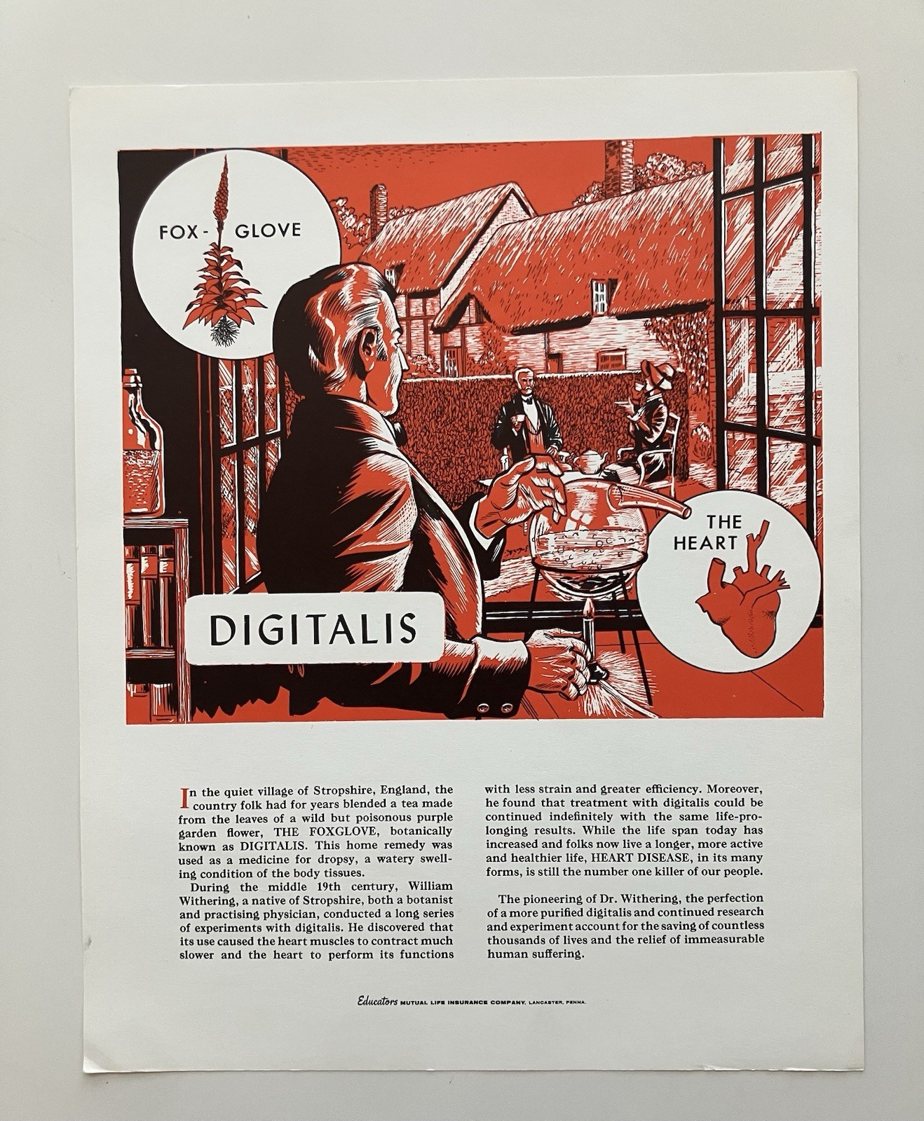 Vintage MCM Digitalis Foxglove Medical Advertisement Ad Poster Heart Health Red