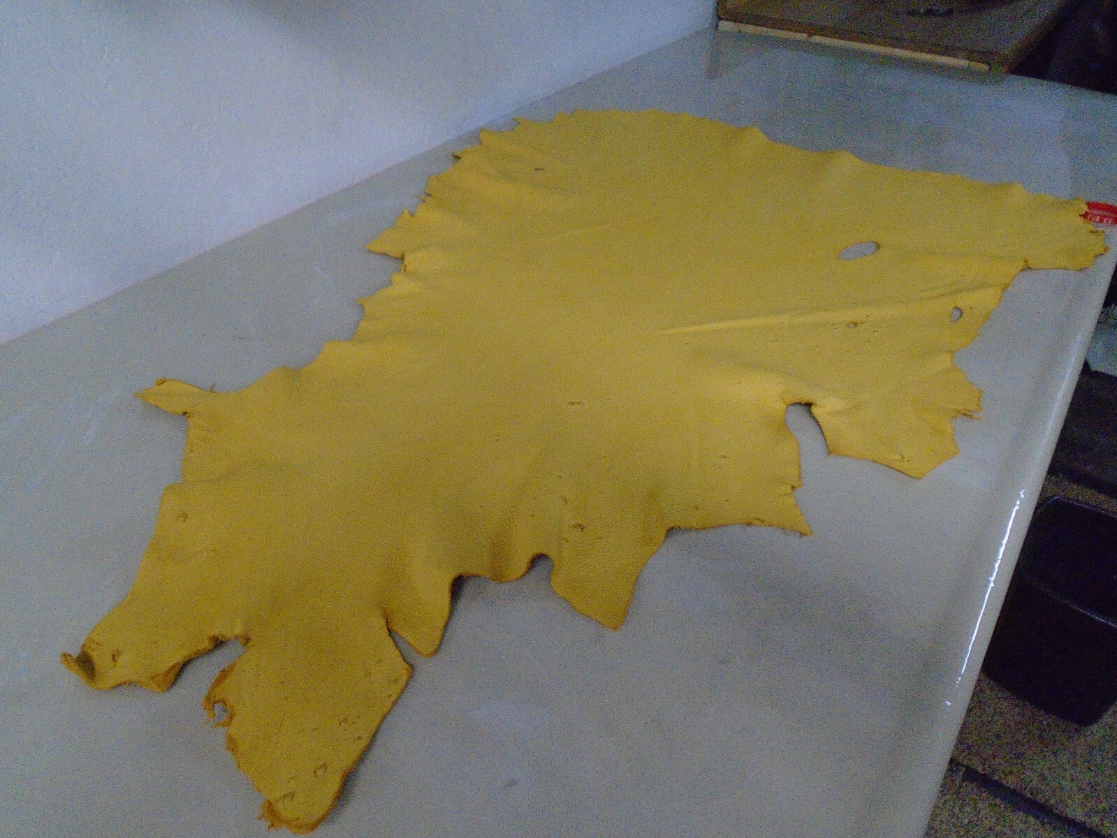 Top Grain Deer Leather #0018317 Row 157