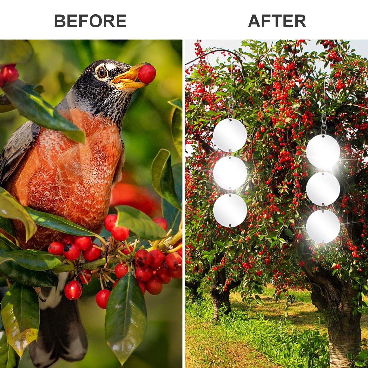 30 Pack Bird Scare Discs Set-Highly Reflective Double-Sided Bird Reflectors