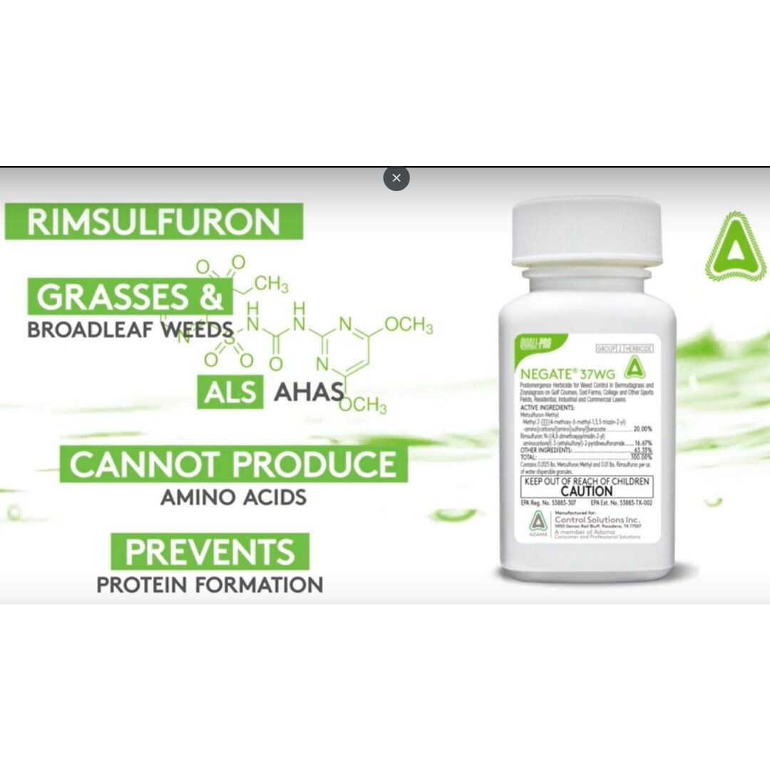 Negate 37WG Herbicide – Powerful, Dual-Action Weed Control for Turfgrass