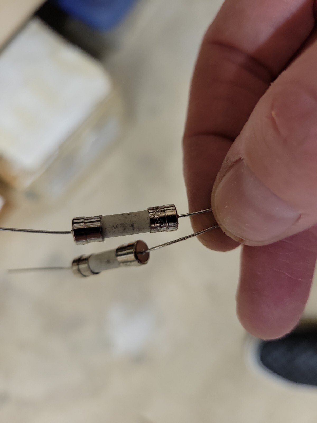 GMA  / CERAMIC FUSE / 12 AMP  / 5 PIECES /  (qzty)