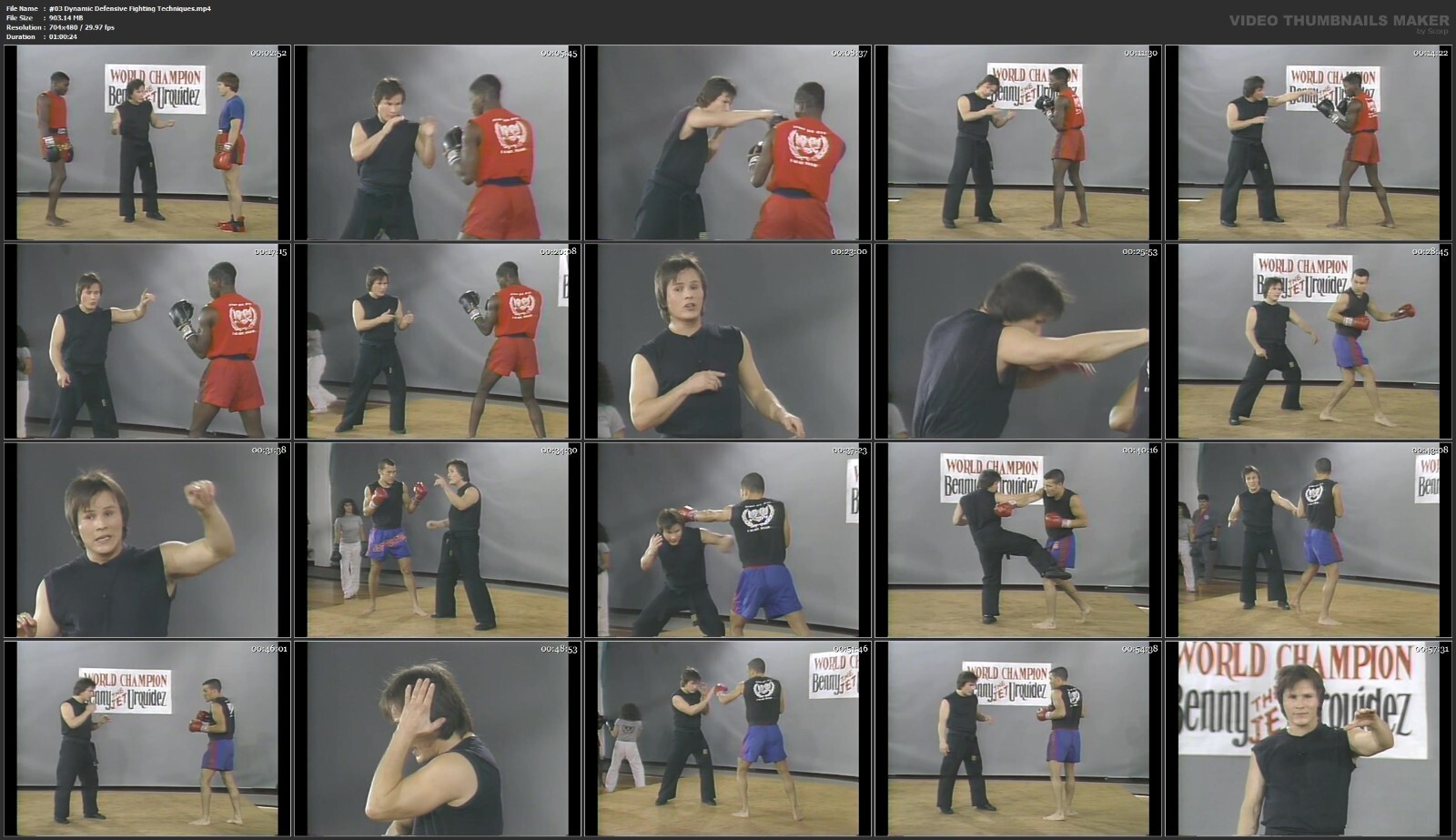 Dynamic Kickboxing Training starring Benny Urquidez (8 DVD Set)