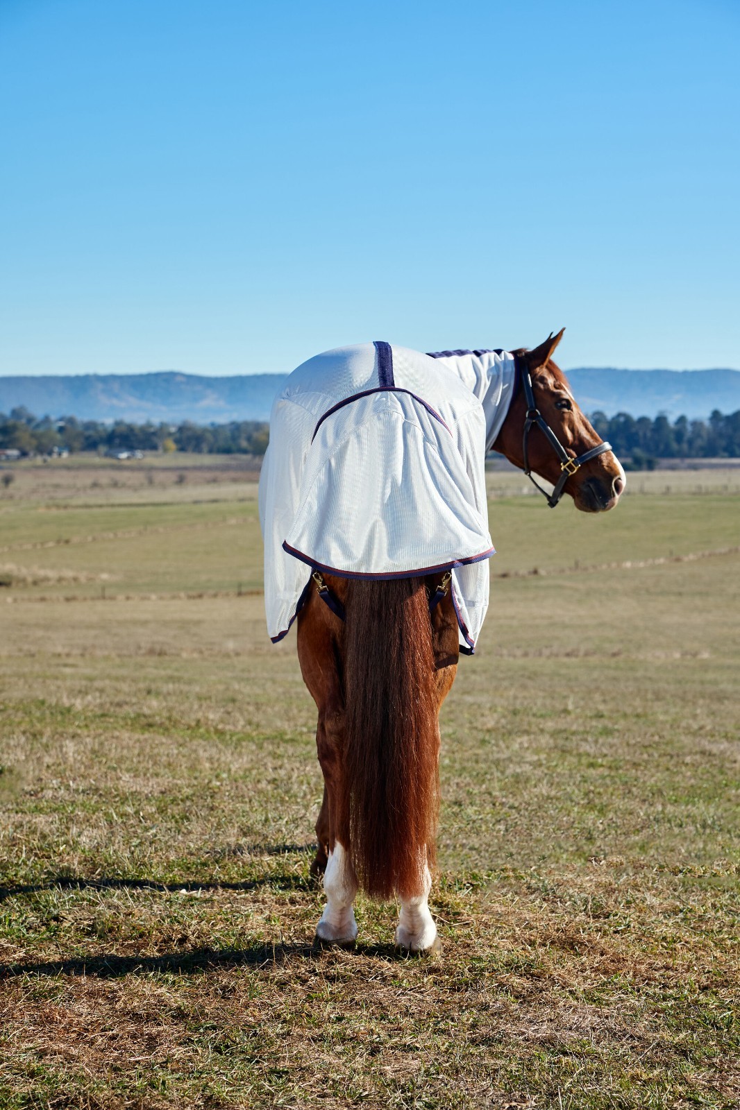 WEATHERBEETA COMFITEC AIRFLOW FLY SHEET DETACH-A-NECK