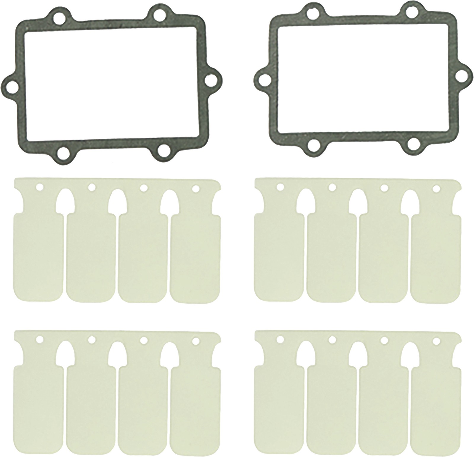 SP1 Reed Valve Rebuild Kit SM-07301