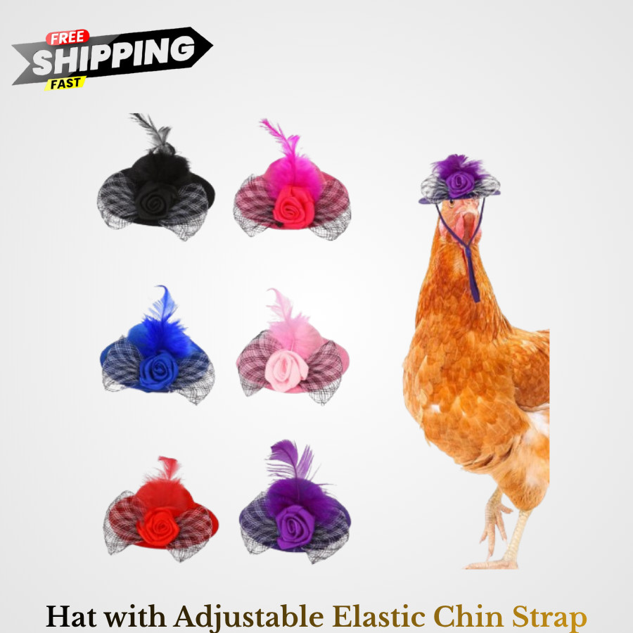 6 Pcs Chicken Hats for Hens Tiny Pets Animals Funny Chicken Accessories Mini Fea