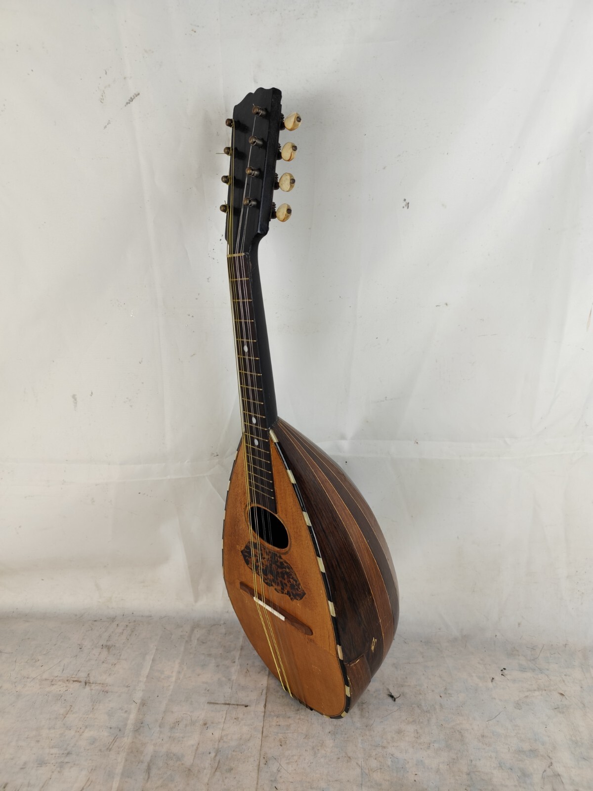 Mandolin 4/4 Pasquale Vinaccia 1882 Naples 曼陀林 만돌린マンドリン
