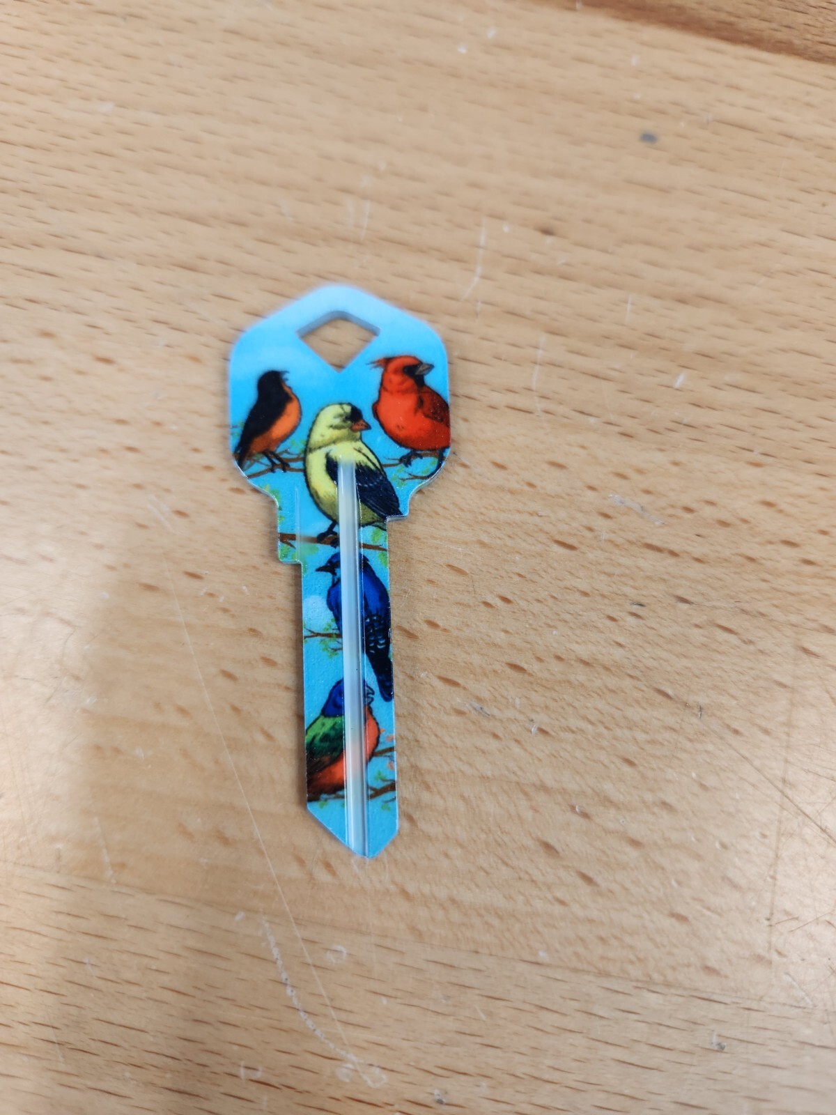 COLORFUL BIRDS PRINTED KWIKSET KW1/KW10 KEYBLANK - READ DETAILS BELOW