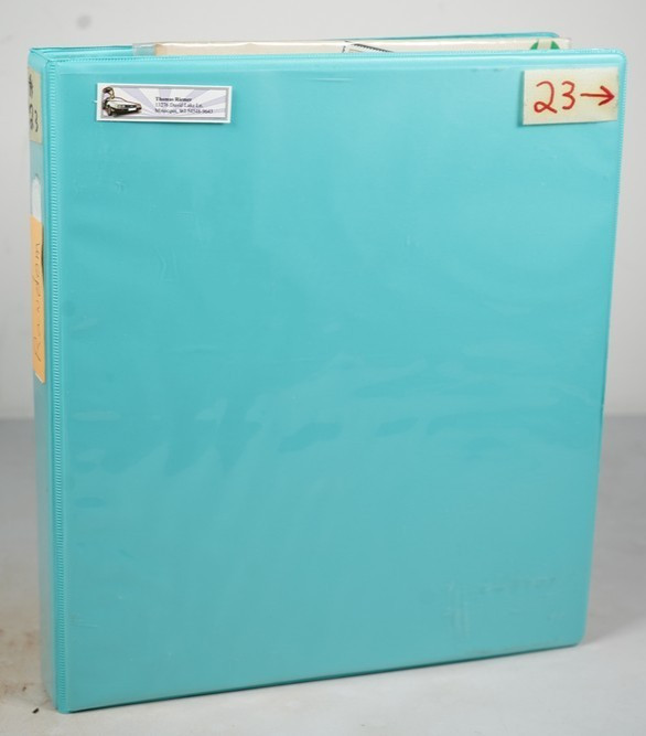 WORLDWIDE COLLECTION OF 1150+ STAMPS MINT & USED STORED IN BINDER ON STOCK PAGES