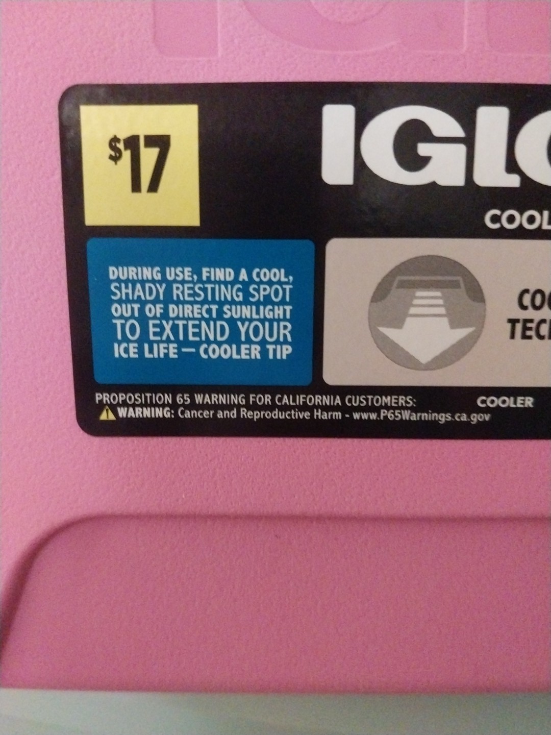 Igloo Cool 9 Insulated Cooler Pink & White NEW!!