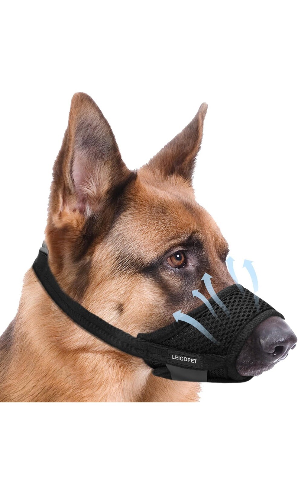 dog muzzle large