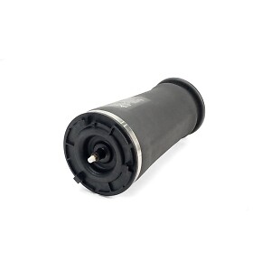 Air Spring Arnott A2610