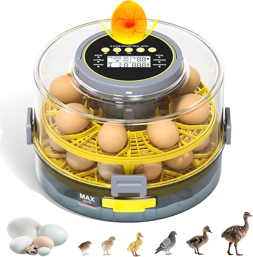20 Egg Incubator with Auto Rotation, Temperature & Humidity Control
