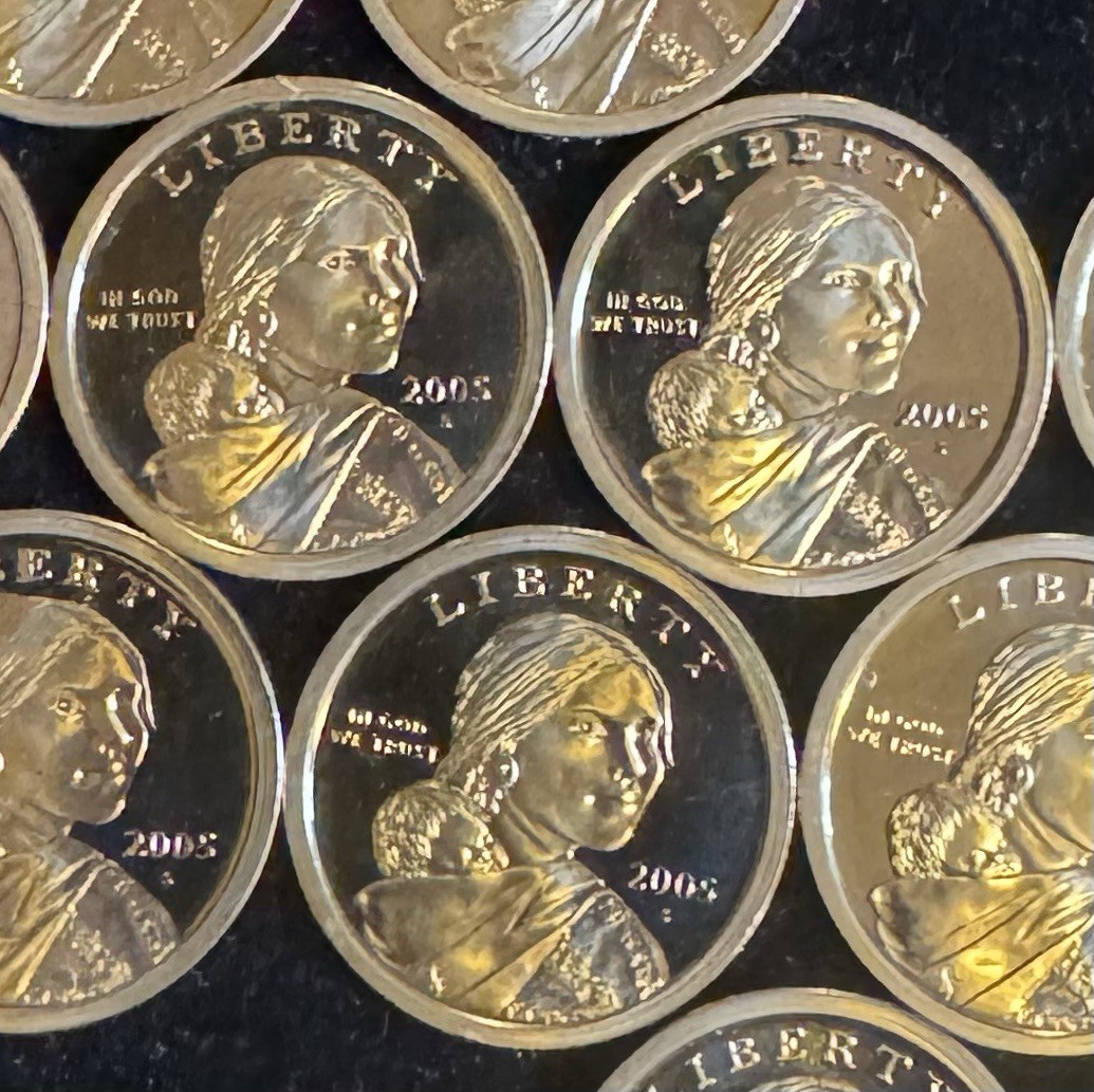 Proof Sacagawea Dollar - S Mint Proof 2005 - Lot Of 12 - BU Gem Quality