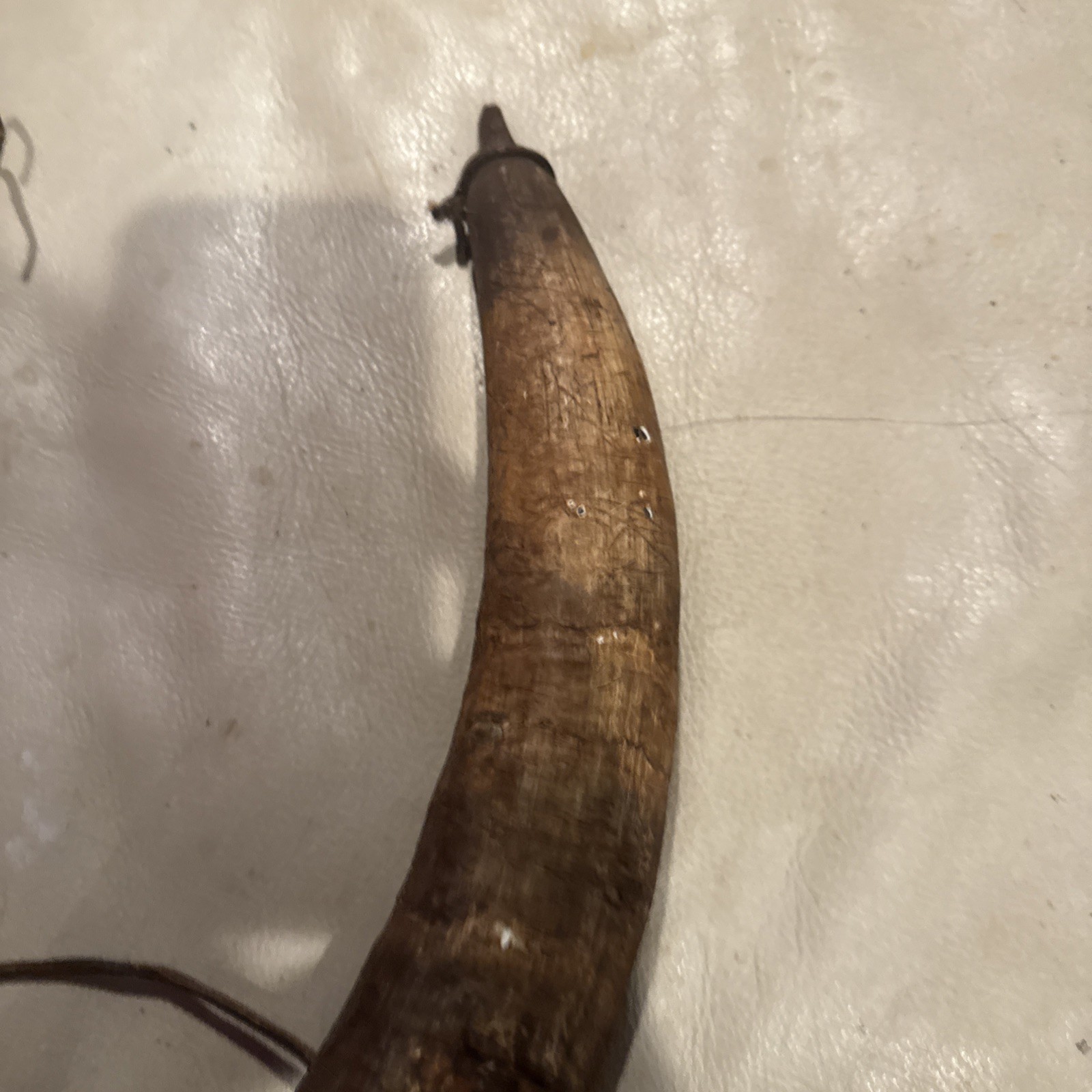 Vintage Powder Horn