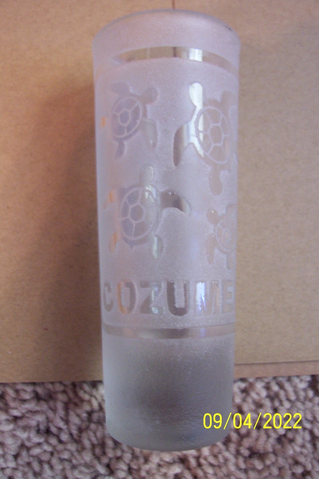 Cozumel Souvenir Shot Glass
