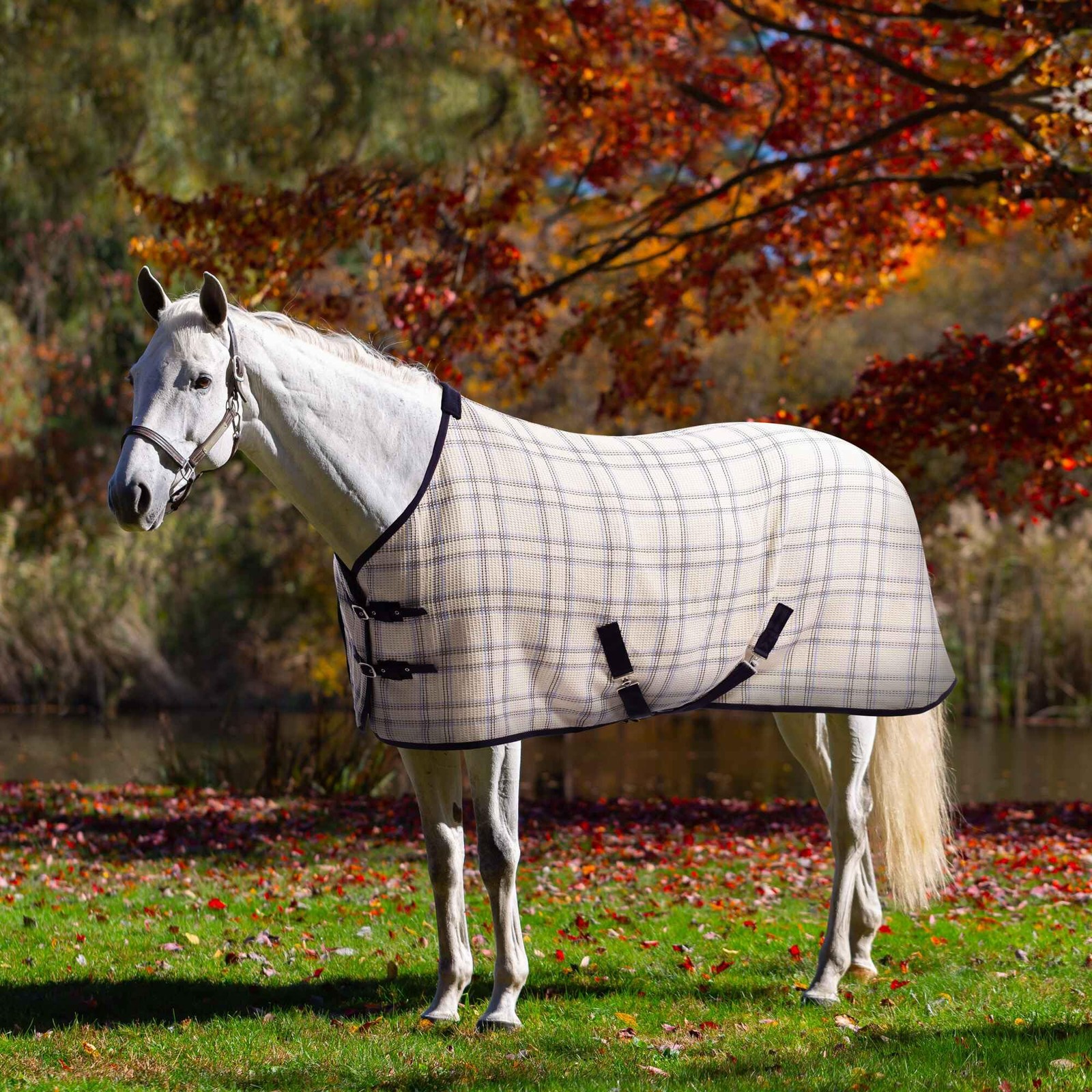 Equinavia Luftig Waffle Cooler - Natural/Blue - 76 in