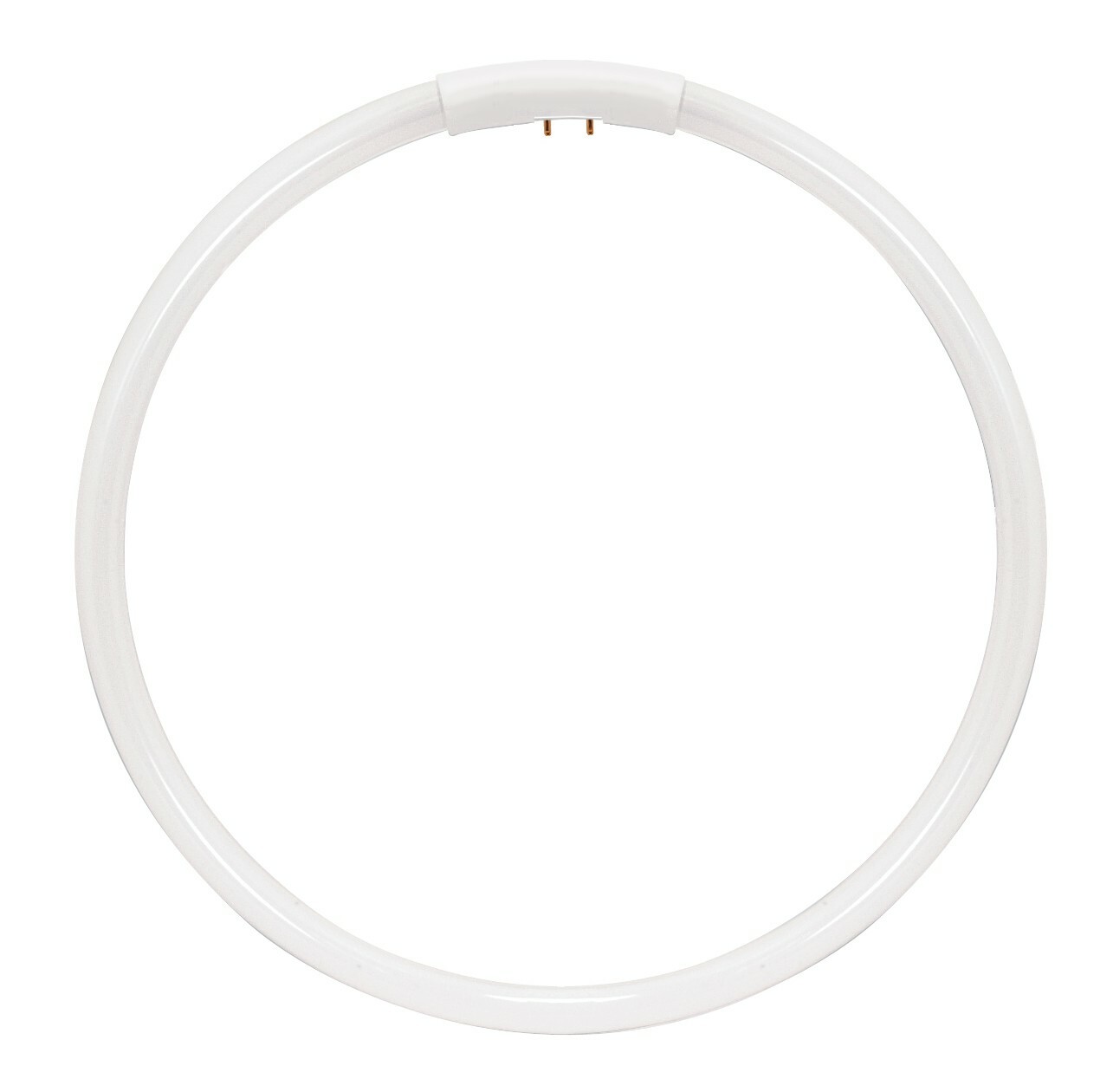 FC22T5/865 22W 22 Watt 7.25 inch diameter Circular fluorescent lamp/bulb