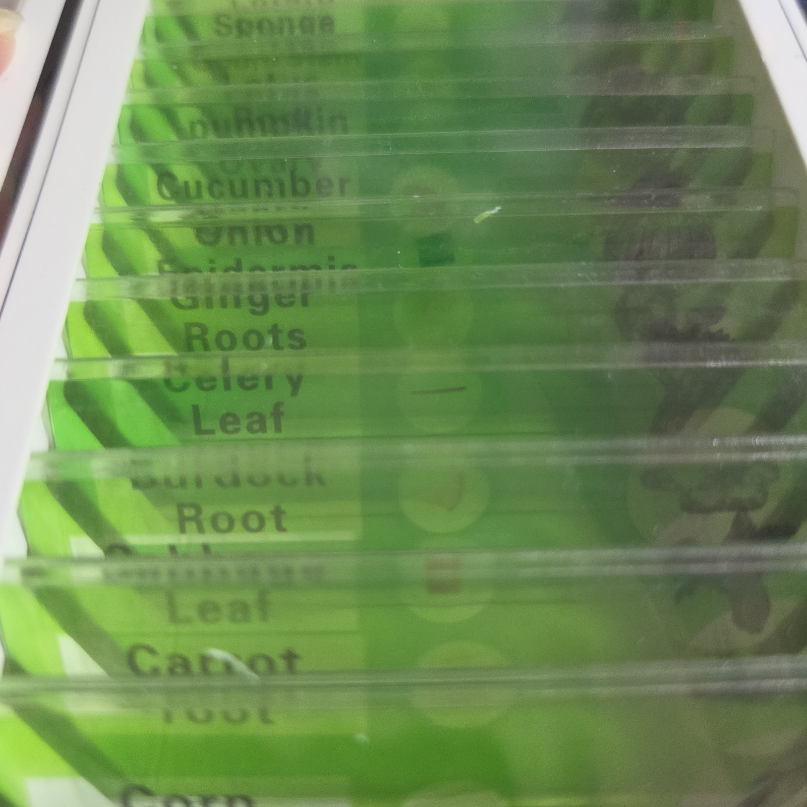 12 Prepared Microscope Slides Plant Cellular Structures