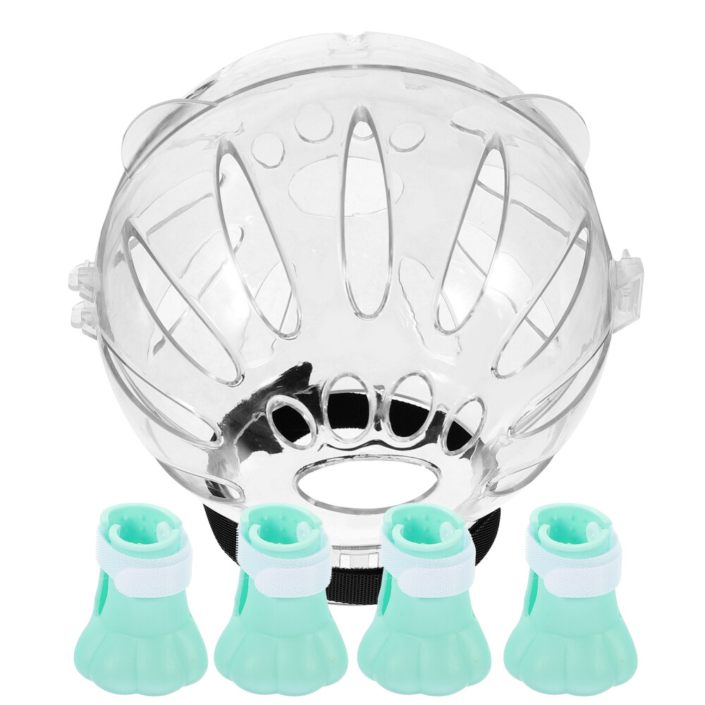 1 Set of Portable Smooth Cat Clear Helmet Kitten Helmet for Pet Supply