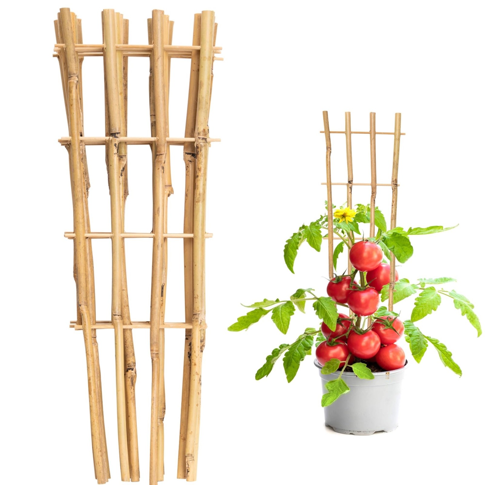 Taoskai 10 Pack 16" Bamboo Trellis for Climbing Plants, 16''-10 Pack, brown