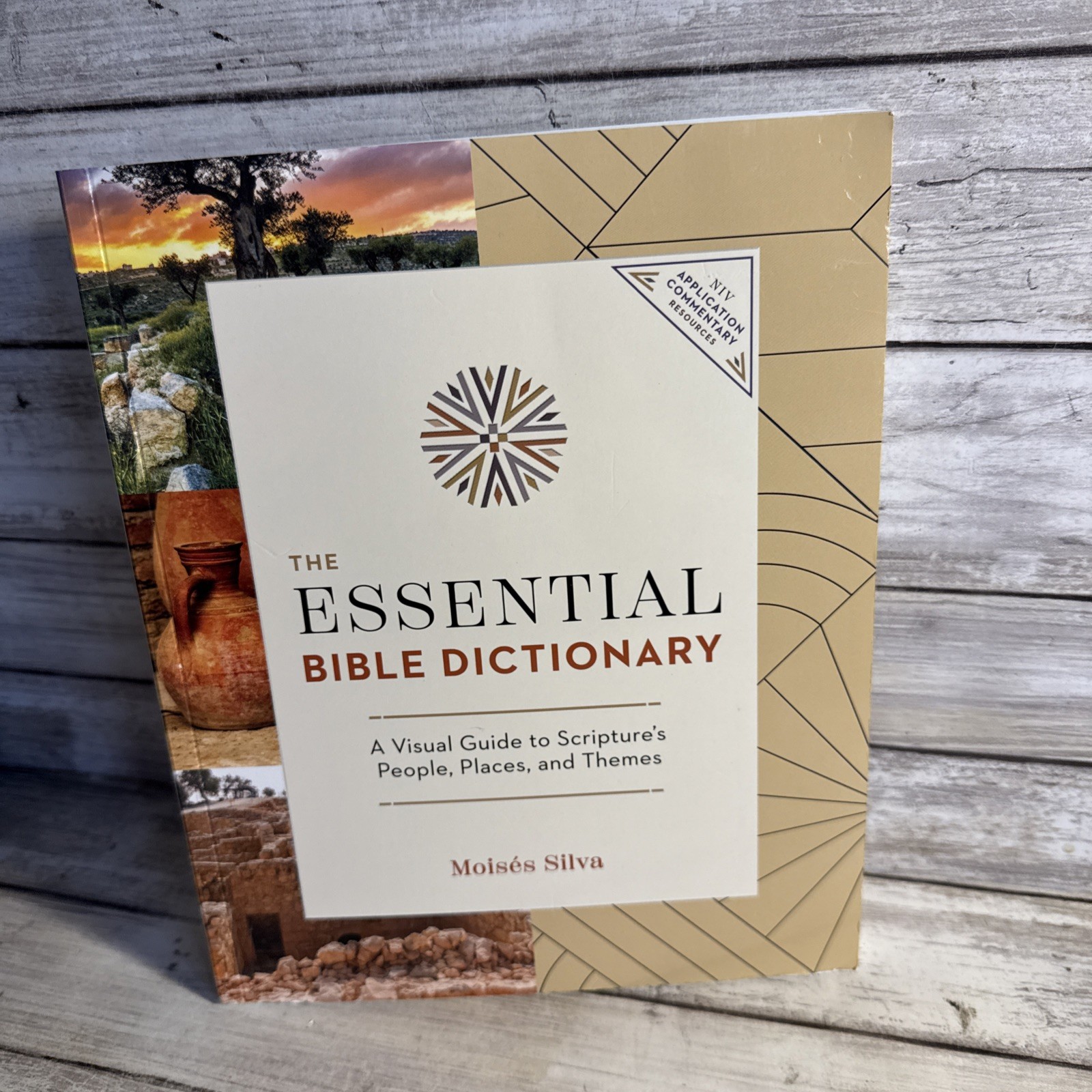 The Essential Bible Dictionary Visual Guide To Scripture’s People Places Themes