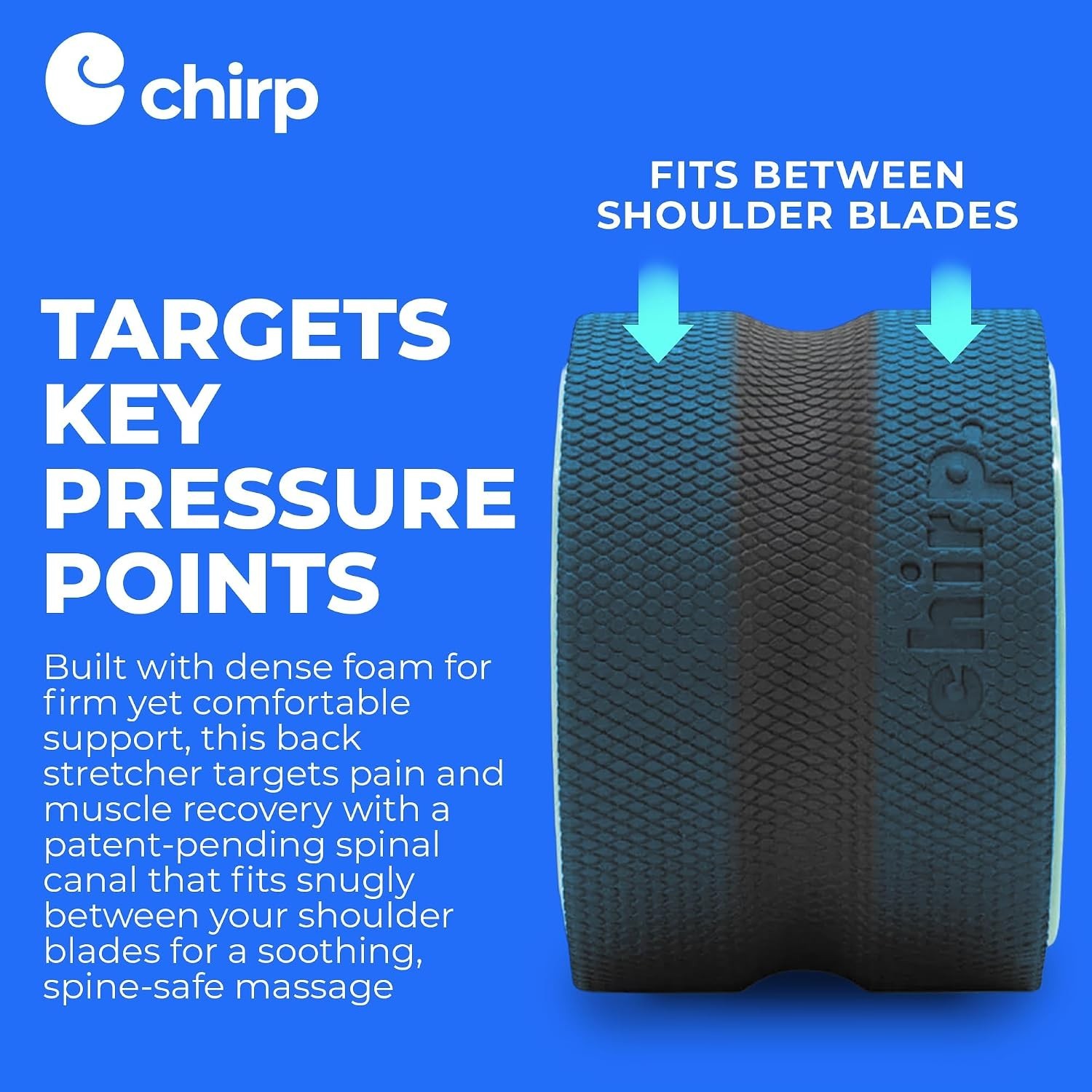 Deep Tissue 6-Inch Wheel+ Foam Roller for Back Pain Control & Flexibility