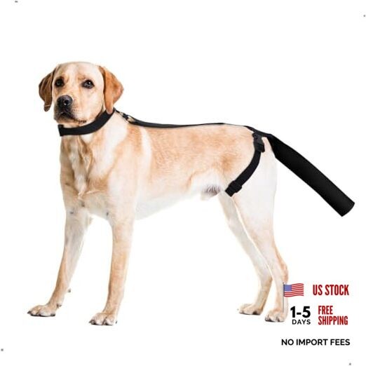 Adjustable Dog Tail Protector for Wounds, Tail Cover Recovery Sleeve M Black