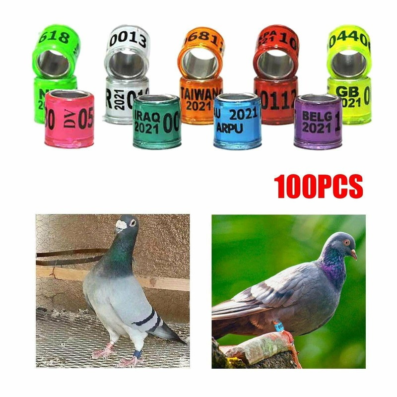 100pcs x 2025 Yer luminum Bird Rcing Pigeon Leg Rings Bnds for Poultry US